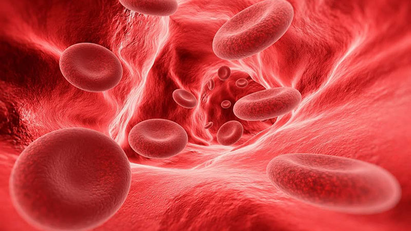 血铁蛋白过高有啥危害和后果呢怎么治疗好